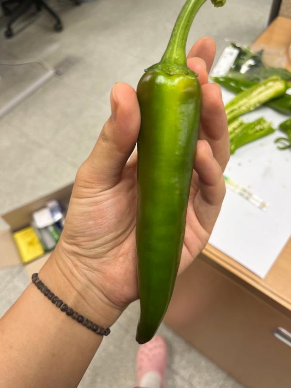 해당파일이미지